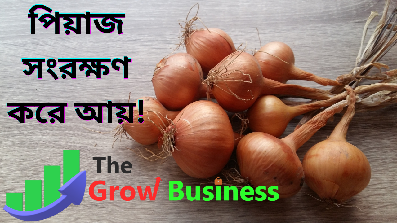 পেঁয়াজ মজুদের ব্যবসার আইডিয়া