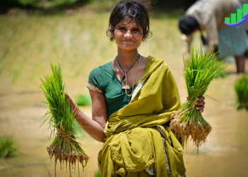 পেশা হিসাবে কৃষি নেয়ামত পুর্ন