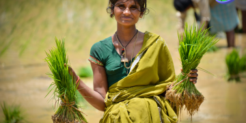 পেশা হিসাবে কৃষি নেয়ামত পুর্ন