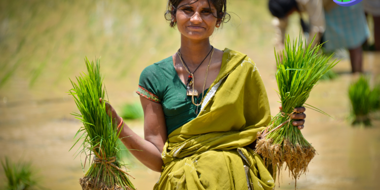 পেশা হিসাবে কৃষি নেয়ামত পুর্ন