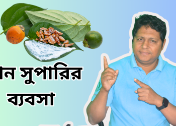 পান সুপারির ব্যবসা ছোট বিজনেস বড় লাভ