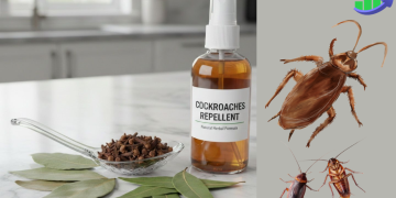 Cockroaches Killer spry