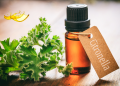 Citronella Oil কি এবং এর গুনা গুন জানতে চাই