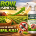 Natural Spray to Repel Flies